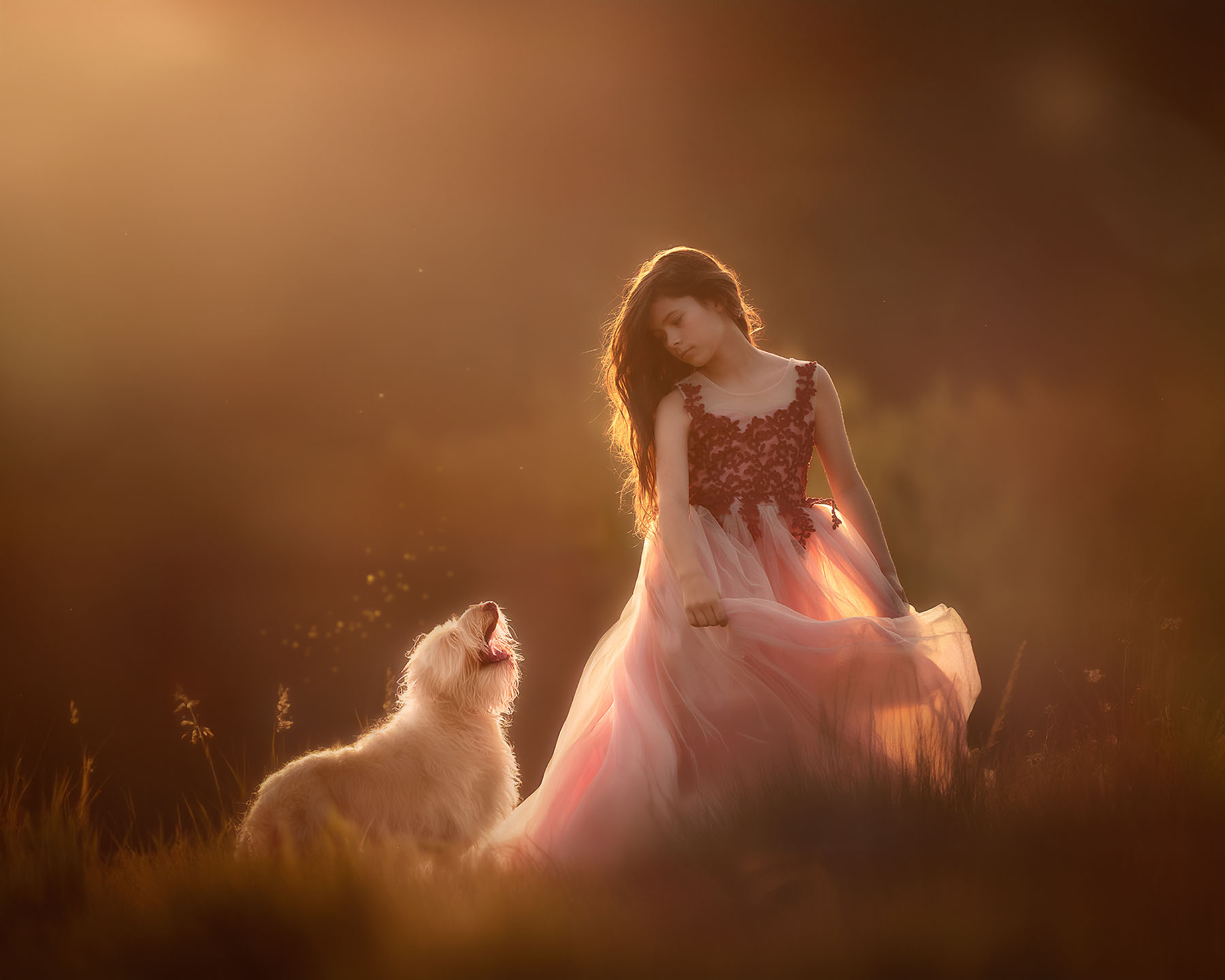 Fine-art-golden-hour-portret-van-een-meisje-met-lang-donker-haar-dansend-in-het-veld-samen-met-haar-labradoodle-door-natuurlijk-licht-fotograaf-Willie-Kers-uit-Apeldoorn-copy